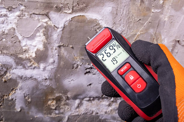 Best Bathroom Mold Remediation in West Long Branch, NJ